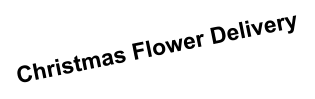 Christmas Flower Delivery