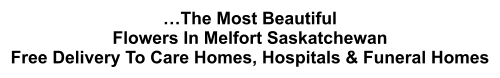 …The Most Beautiful Flowers In Melfort Saskatchewan Free Delivery To Care Homes, Hospitals & Funeral Homes
